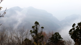 云台山火车双卧深度4日游